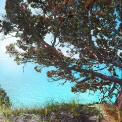 Coastal Bliss-Lucy G