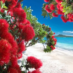 Lucy G - Glendowie Paradise