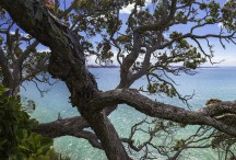 Lucy G - Eternal Home Full Colour