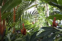 Lucy G - Paradise Cove