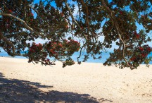 Lucy G - Summer Beach View, full colour