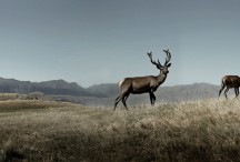 Lucy G - What Are You Looking At