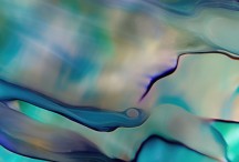 Paua Dream NAT2024-5