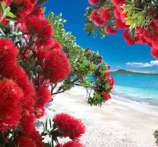 Lucy G - Glendowie Paradise