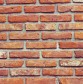DG 1060 600 - Red Brick