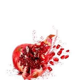 DG 302 600 - Exploding Fruit