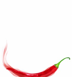 DG 304 600 - Red Chilli