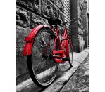 DG 1174 - Bike 750H x 600W Bike