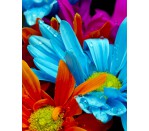 DG 1300 - Beautiful Flowers 750H x 600W Beautiful Flowers