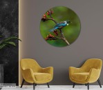 Circular Wall Art 800mm circular wall art