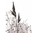 DG 212 - Toi Toi Frappacino 750H x 600W Toi toi Frappacino