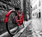 DG 1174 - Bike 750H x 900W Bike